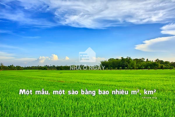 1 sào bằng bao nhiêu mét vuông