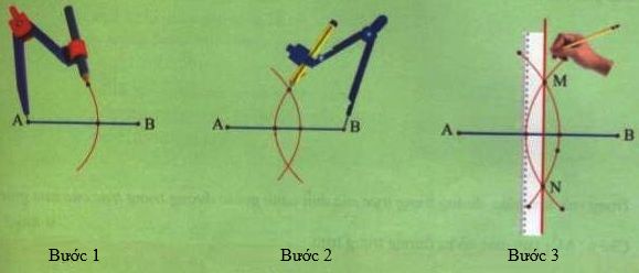 đường trung trực