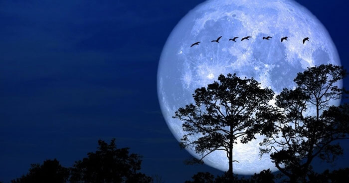 tả một đêm trăng đẹp