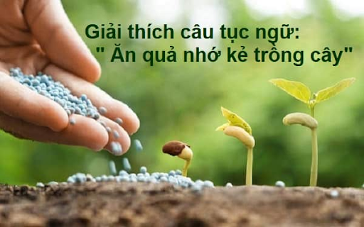 ăn quả nhớ kẻ trồng cây