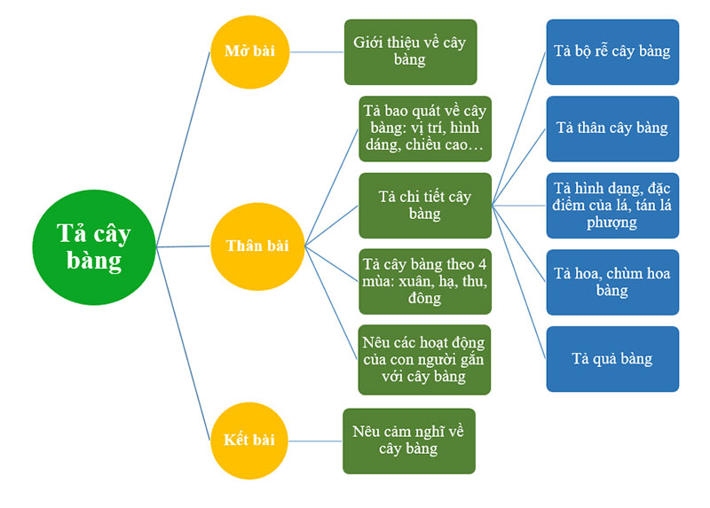 tả cây bàng