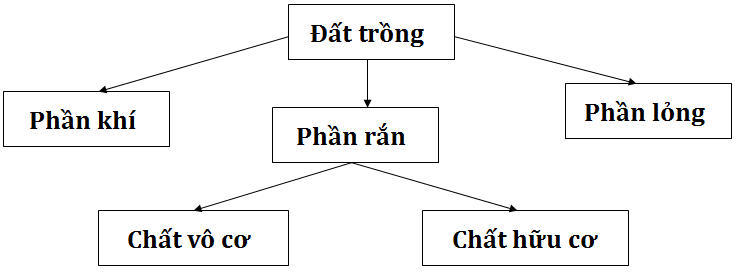 thành phần đất trồng gồm