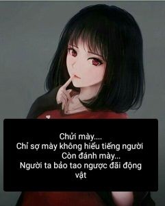 stt chửi xéo