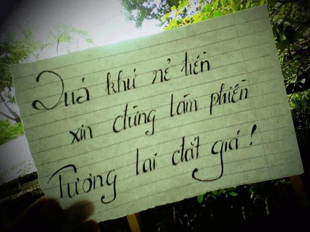 stt chửi xéo