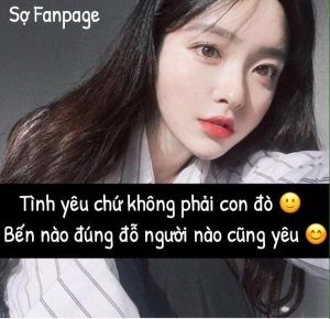 stt chửi xéo