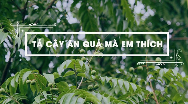 tả cây ăn quả