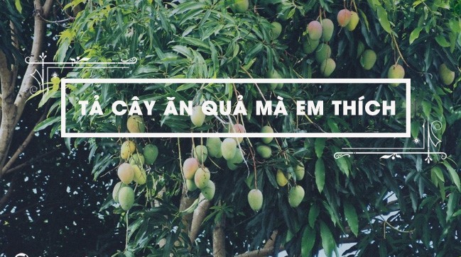 tả cây ăn quả